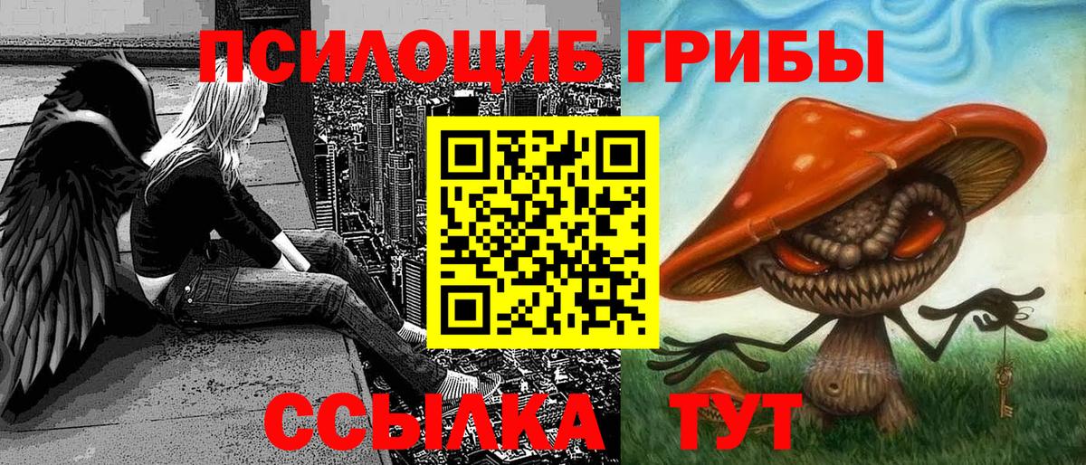 Галлюциногенные грибы мицелий Отрадное